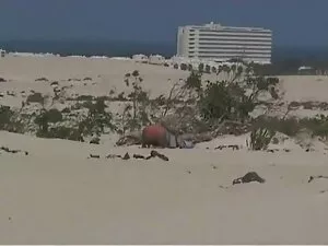 Petite amateur film  ...