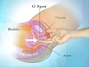 brune porn black jeu ...